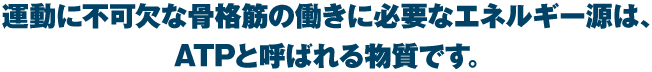 運動に不可欠な骨格筋の働きに必要なエネルギー源は、ATPと呼ばれる物質です。