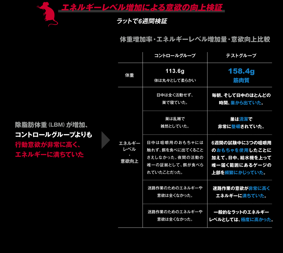 エネルギーレベル増加による意欲の向上検証｜ラットで6週間検証