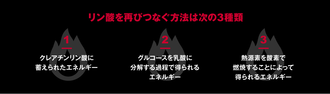 リン酸を再びつなぐ方法は次の3種類|1.クレアチンリン酸に蓄えられたエネルギー|2.グルコースを乳酸に分解する過程で得られるエネルギー|3.熱源素を酸素で燃焼することによって得られるエネルギー